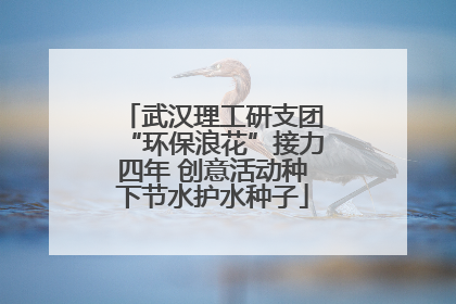 武汉理工研支团“环保浪花”接力四年 创意活动种下节水护水种子