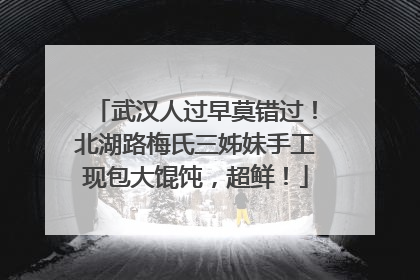 武汉人过早莫错过！北湖路梅氏三姊妹手工现包大馄饨，超鲜！