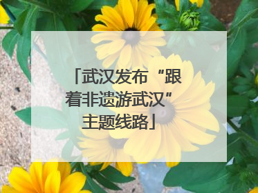 武汉发布“跟着非遗游武汉”主题线路