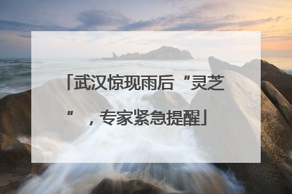 武汉惊现雨后“灵芝”，专家紧急提醒