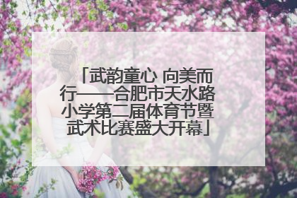 武韵童心 向美而行——合肥市天水路小学第二届体育节暨武术比赛盛大开幕