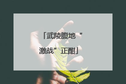 武陵腹地“激战”正酣