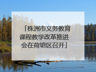 株洲市义务教育课程教学改革推进会在荷塘区召开