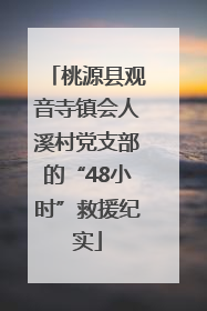 桃源县观音寺镇会人溪村党支部的“48小时”救援纪实