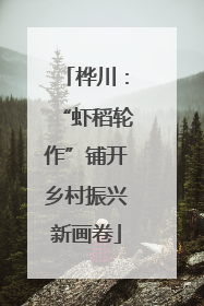 桦川：“虾稻轮作”铺开乡村振兴新画卷