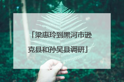 梁惠玲到黑河市逊克县和孙吴县调研
