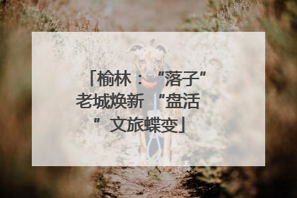 榆林：“落子”老城焕新 “盘活”文旅蝶变