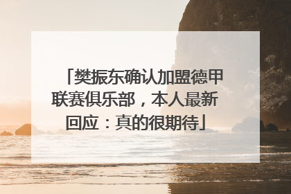樊振东确认加盟德甲联赛俱乐部，本人最新回应：真的很期待