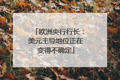 欧洲央行行长：美元主导地位正在变得不确定