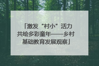 激发“村小”活力 共绘多彩童年——乡村基础教育发展观察