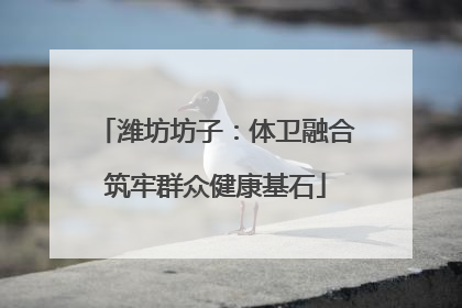 潍坊坊子：体卫融合筑牢群众健康基石