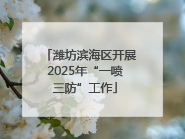 潍坊滨海区开展2025年“一喷三防”工作