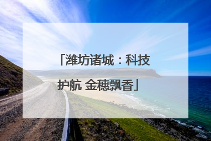 潍坊诸城：科技护航 金穗飘香