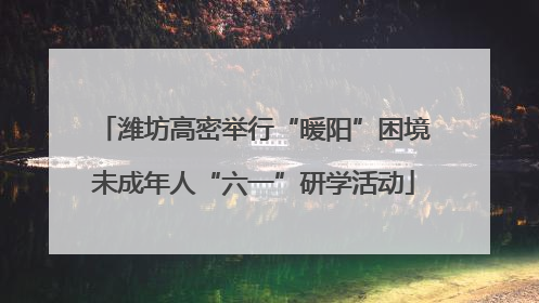 潍坊高密举行“暖阳”困境未成年人“六一”研学活动