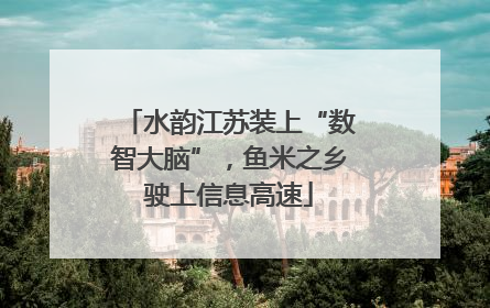 水韵江苏装上“数智大脑”，鱼米之乡驶上信息高速