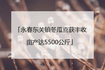 永春东关镇冬瓜喜获丰收 亩产达5500公斤