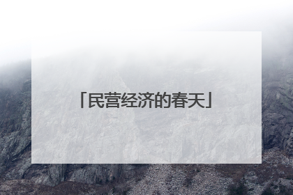 民营经济的春天