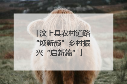 汶上县农村道路“焕新颜”乡村振兴“启新篇”
