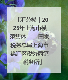 汇劳模｜2025年上海市模范集体——国家税务总局上海市徐汇区税务局第一税务所