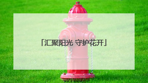 汇聚阳光 守护花开