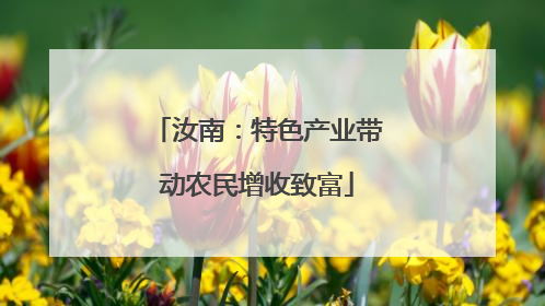 汝南：特色产业带动农民增收致富
