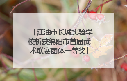 江油市长城实验学校斩获绵阳市首届武术联赛团体一等奖