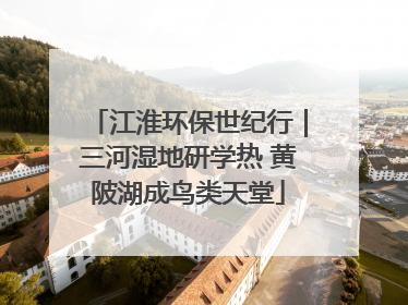 江淮环保世纪行｜三河湿地研学热 黄陂湖成鸟类天堂