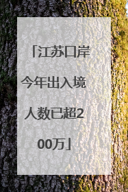 江苏口岸今年出入境人数已超200万