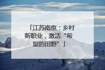 江苏南京：乡村新职业，激活“希望的田野”