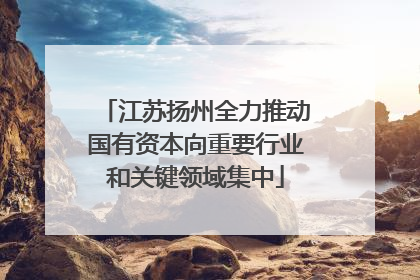 江苏扬州全力推动国有资本向重要行业和关键领域集中