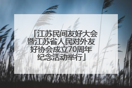 江苏民间友好大会暨江苏省人民对外友好协会成立70周年纪念活动举行