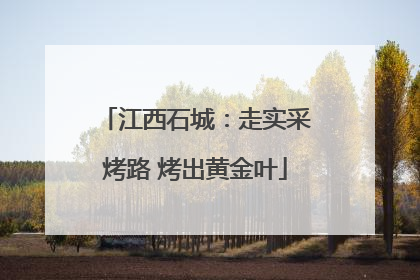 江西石城：走实采烤路 烤出黄金叶