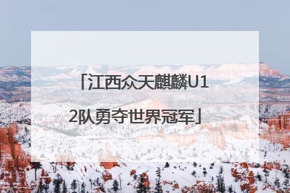 江西众天麒麟U12队勇夺世界冠军