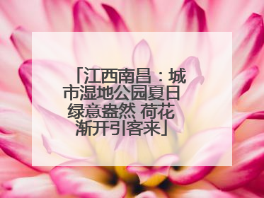 江西南昌：城市湿地公园夏日绿意盎然 荷花渐开引客来