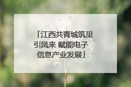 江西共青城筑巢引凤来 赋能电子信息产业发展