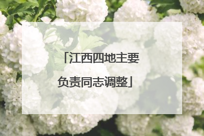 江西四地主要负责同志调整