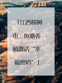 江西樟树市：鱼塘养殖激活“幸福密码”
