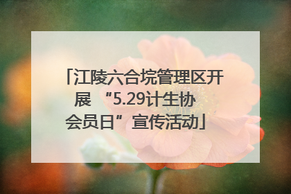 江陵六合垸管理区开展 “5.29计生协会员日”宣传活动