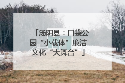 汤阴县：口袋公园“小载体”廉洁文化“大舞台”