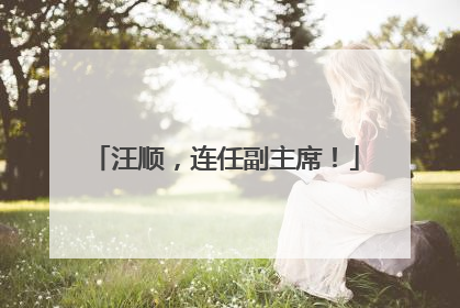 汪顺，连任副主席！