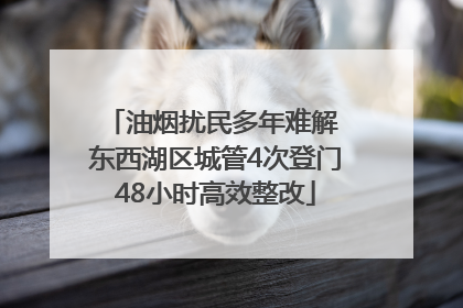 油烟扰民多年难解 东西湖区城管4次登门48小时高效整改
