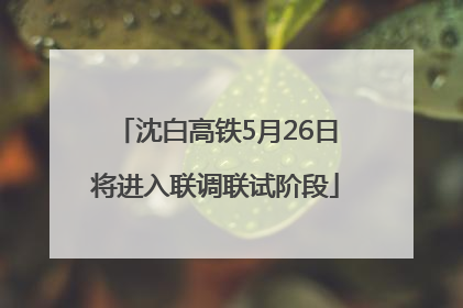 沈白高铁5月26日将进入联调联试阶段