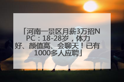 河南一景区月薪3万招NPC：18-28岁，体力好、颜值高、会聊天！已有1000多人应聘