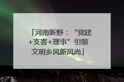河南新野：“党建+支客+理事”引领文明乡风新风尚