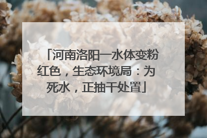 河南洛阳一水体变粉红色，生态环境局：为死水，正抽干处置
