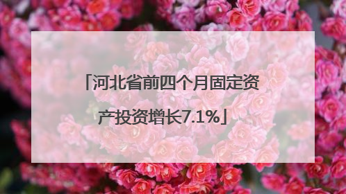 河北省前四个月固定资产投资增长7.1%