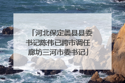 河北保定蠡县县委书记陈伟已跨市调任廊坊三河市委书记