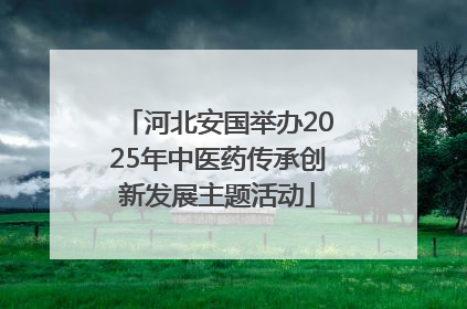 河北安国举办2025年中医药传承创新发展主题活动