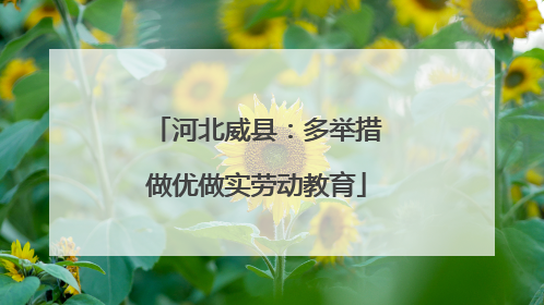 河北威县：多举措做优做实劳动教育
