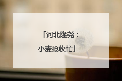 河北隆尧：小麦抢收忙